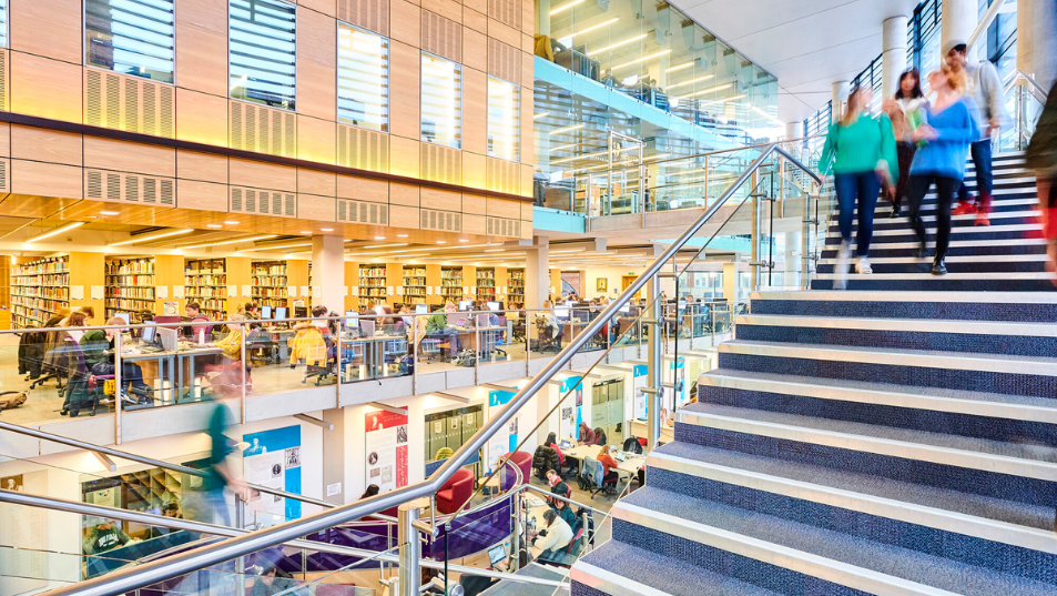 Inside of the Bill Bryson Library